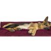 Dog Chaise Lounges (Photo 9 of 15)