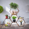 Hexagon Plant Stands (Photo 15 of 15)