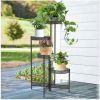 Four-Tier Metal Plant Stands (Photo 10 of 15)