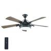 Efficient Outdoor Ceiling Fans (Photo 4 of 15)