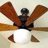 Emerson Outdoor Ceiling Fans With Lights (Photo 15 of 15)