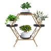 Hexagon Plant Stands (Photo 13 of 15)
