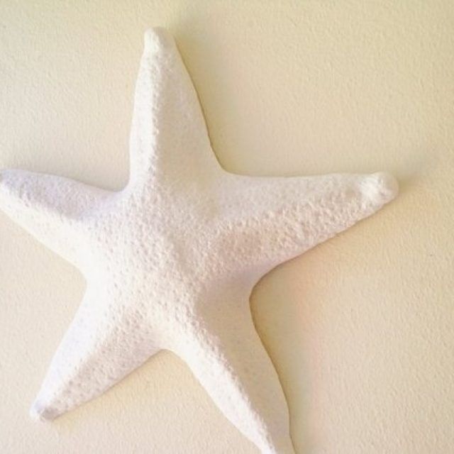 2024 Best of Large Starfish Wall Decors