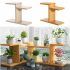 The Best Particle Board Plant Stands