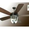 Brown Outdoor Ceiling Fan With Light (Photo 10 of 15)