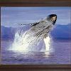 Humpback Whale Wall Art (Photo 10 of 15)