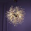 Contemporary Chandeliers (Photo 13 of 15)