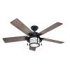 Outdoor Ceiling Fans With Removable Blades (Photo 3 of 15)