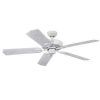 Outdoor Ceiling Fans With Schoolhouse Light (Photo 6 of 15)