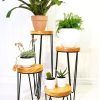 Plant Stands With Side Table (Photo 9 of 15)