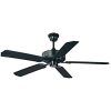 Black Outdoor Ceiling Fans (Photo 4 of 15)