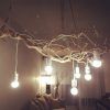 Branch Chandeliers (Photo 1 of 15)