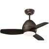 Outdoor Ceiling Fans With Removable Blades (Photo 4 of 15)
