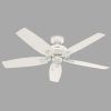 Hunter Outdoor Ceiling Fans With White Lights (Photo 1 of 15)