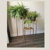 Gold Plant Stands (Photo 1 of 15)