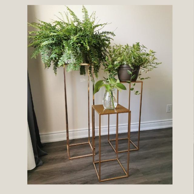 The 15 Best Collection of Gold Plant Stands