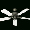 Outdoor Ceiling Fans With Removable Blades (Photo 12 of 15)