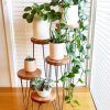 Plant Stands With Side Table (Photo 2 of 15)
