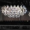 Florian Crystal Chandeliers (Photo 8 of 15)