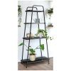Four-Tier Metal Plant Stands (Photo 13 of 15)