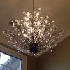 Branch Crystal Chandelier (Photo 11 of 15)