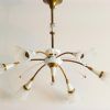 French Glass Chandelier (Photo 6 of 15)