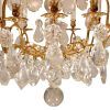 French Crystal Chandeliers (Photo 9 of 15)