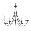 Wrought Iron Chandelier (Photo 12 of 15)
