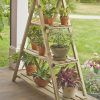 Deluxe Plant Stands (Photo 11 of 15)