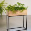 Rectangular Plant Stands (Photo 2 of 15)