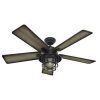 Hunter Outdoor Ceiling Fans With Lights (Photo 14 of 15)