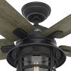 Hunter Indoor Outdoor Ceiling Fans With Lights (Photo 13 of 15)