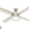 Hunter Indoor Outdoor Ceiling Fans With Lights (Photo 6 of 15)