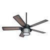 Hunter Indoor Outdoor Ceiling Fans With Lights (Photo 10 of 15)