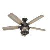 Hunter Outdoor Ceiling Fans With Lights (Photo 5 of 15)