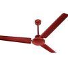 Hurricane Outdoor Ceiling Fans (Photo 2 of 15)