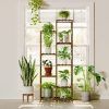 Indoor Plant Stands (Photo 6 of 15)
