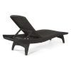 Lakeport Outdoor Adjustable Chaise Lounge Chairs (Photo 13 of 15)