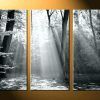 Large Triptych Wall Art (Photo 8 of 15)