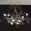 Crystal Branch Chandelier (Photo 10 of 15)