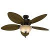 Hunter Outdoor Ceiling Fans With Lights (Photo 10 of 15)