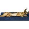 Dog Chaise Lounges (Photo 5 of 15)