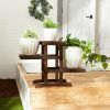 Rustic Plant Stands (Photo 13 of 15)