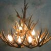 Stag Horn Chandelier (Photo 3 of 15)