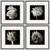 Black And White Framed Wall Art (Photo 11 of 15)