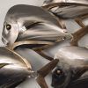 Stainless Steel Fish Wall Art (Photo 10 of 15)