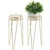Brass Plant Stands (Photo 11 of 15)