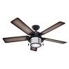 Metal Outdoor Ceiling Fans With Light (Photo 8 of 15)