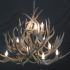 The 15 Best Collection of Modern Antler Chandelier