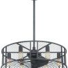 Outdoor Ceiling Fans With Cage (Photo 14 of 15)